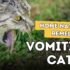 Soothe Your Pup: Natural Dog Vomiting Remedies
