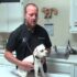 Find Raw Dog Food Breeders in the USA | K9sOverCoffee