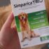 Safeguard Your Dog: Buy Simparica Trio Online