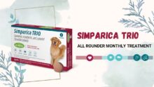 Fight Fleas, Ticks & Worms: Simparica Trio for Dogs