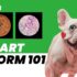 Dog Deworming Side Effects: Vomiting & Diarrhea