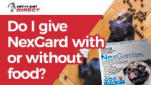 Can I Give NexGard with Food? | NexGard Dosing Tips
