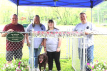New Waterford Dog Park Officially Opens | News, Sports, Jobs