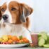 Unleash the Power of Positive Training Techniques for a Well-Behaved and Happy Dog