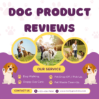 Top Dog Product Reviews: Best Products for Your Canine Companion