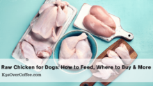 Can Dogs Eat Raw Chicken? Safety & Feeding Tips