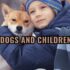 Find Your Perfect Pup Match: Choose the Right Dog for You