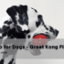 Help! Dog Ate Poison? Induce Vomiting Now