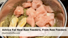 Beginners Guide: 5 Established Raw Feeders’ Expert Advice