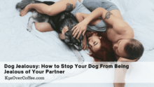 Dog Jealousy: How to Stop Your Dog From Being Jealous of Your Partner
