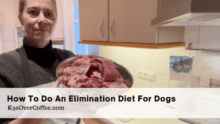 Uncover Dog Food Allergies: Complete Elimination Diet Guide