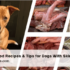 Settle Dog Stomach Upset: 4 Effective Methods