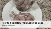 Feed Raw Frog Legs for Dogs: Tips & Guidelines
