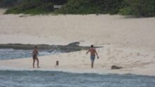 Couple with Dog Spotted Near Hawaiian Monk Seal Habitat