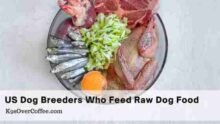 Find Raw Dog Food Breeders in the USA | K9sOverCoffee