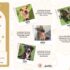 USPS: Ohio ranks No. 5 for most dog bites